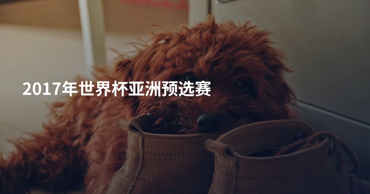 2017年世界杯亚洲预选赛