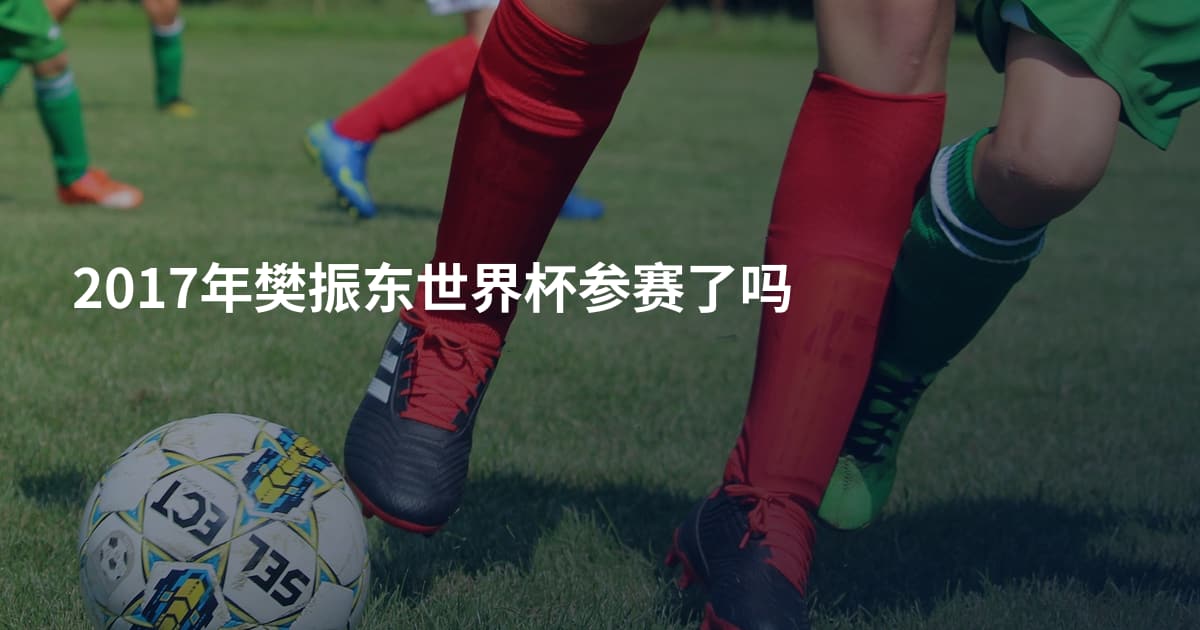 2017年樊振东世界杯参赛了吗