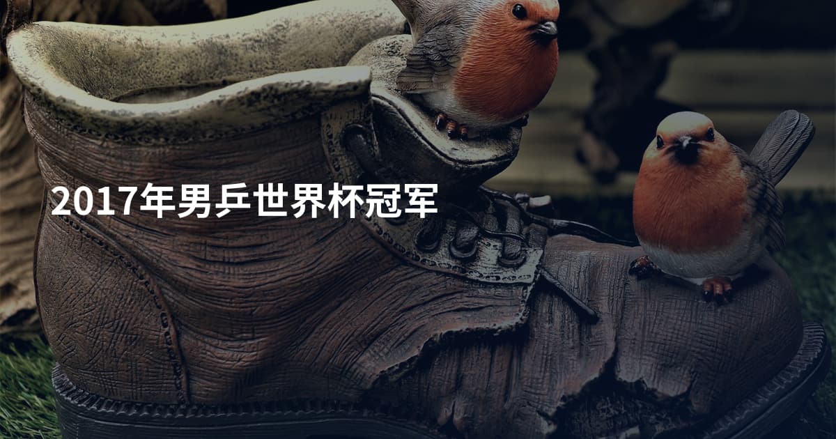 2017年男乒世界杯冠军