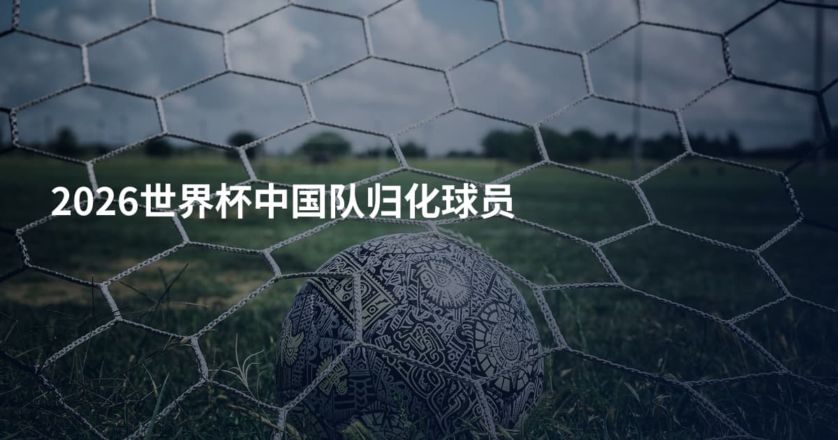 2026世界杯中国队归化球员