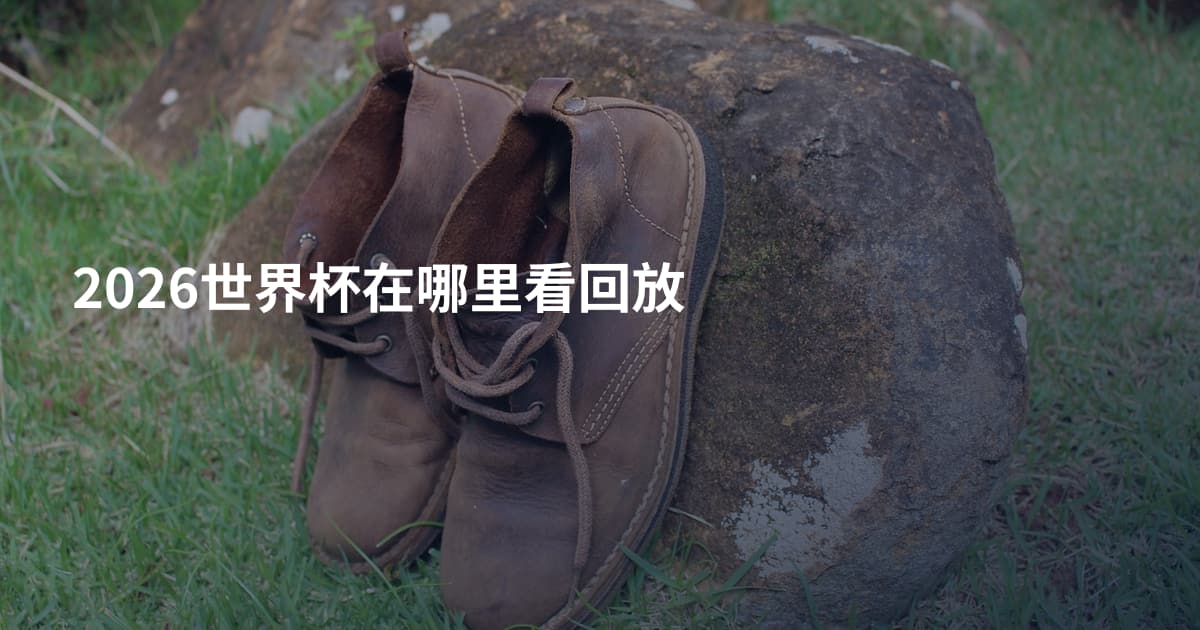 2026世界杯在哪里看回放