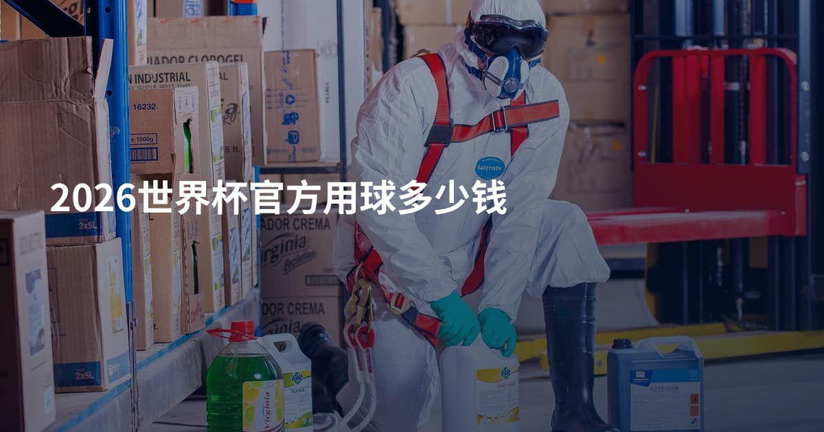 2026世界杯官方用球多少钱