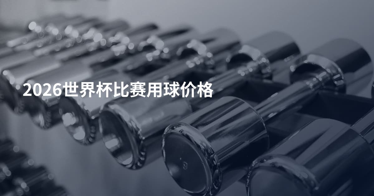 2026世界杯比赛用球价格