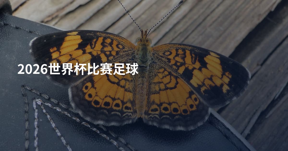 2026世界杯比赛足球