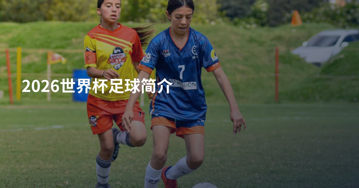 2026世界杯足球简介