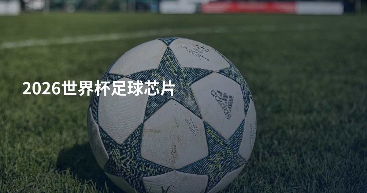 2026世界杯足球芯片