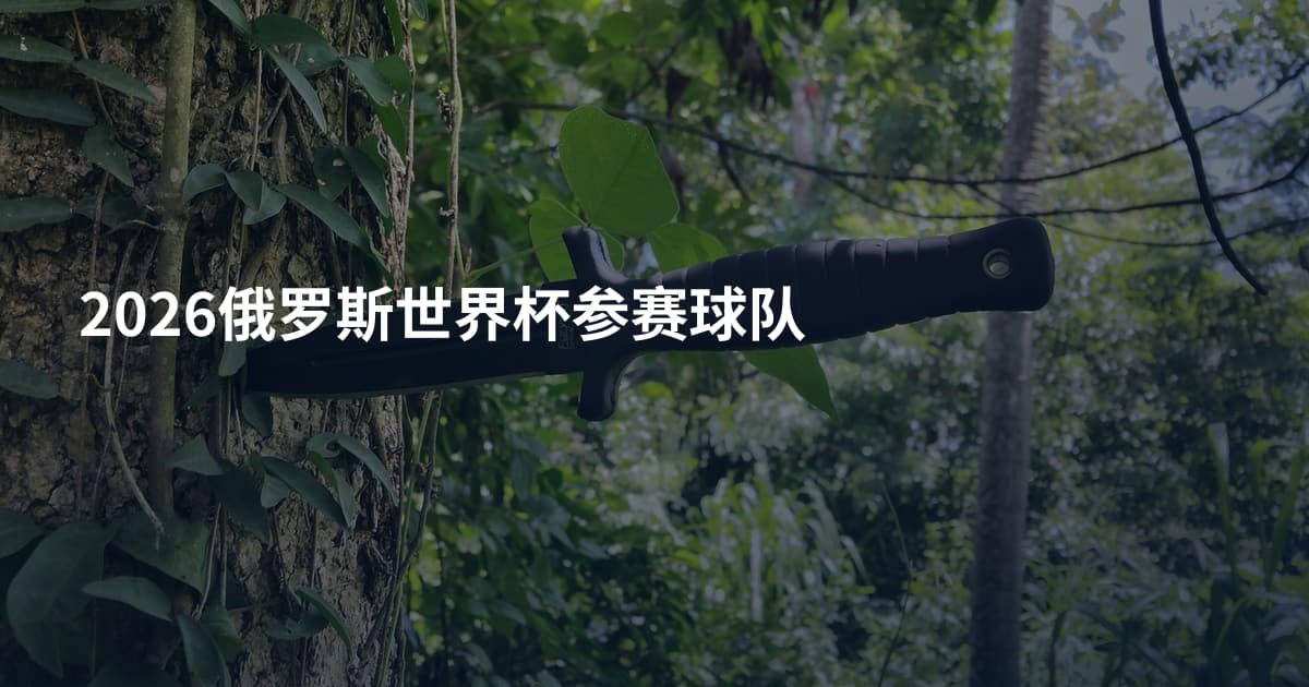 2026俄罗斯世界杯参赛球队