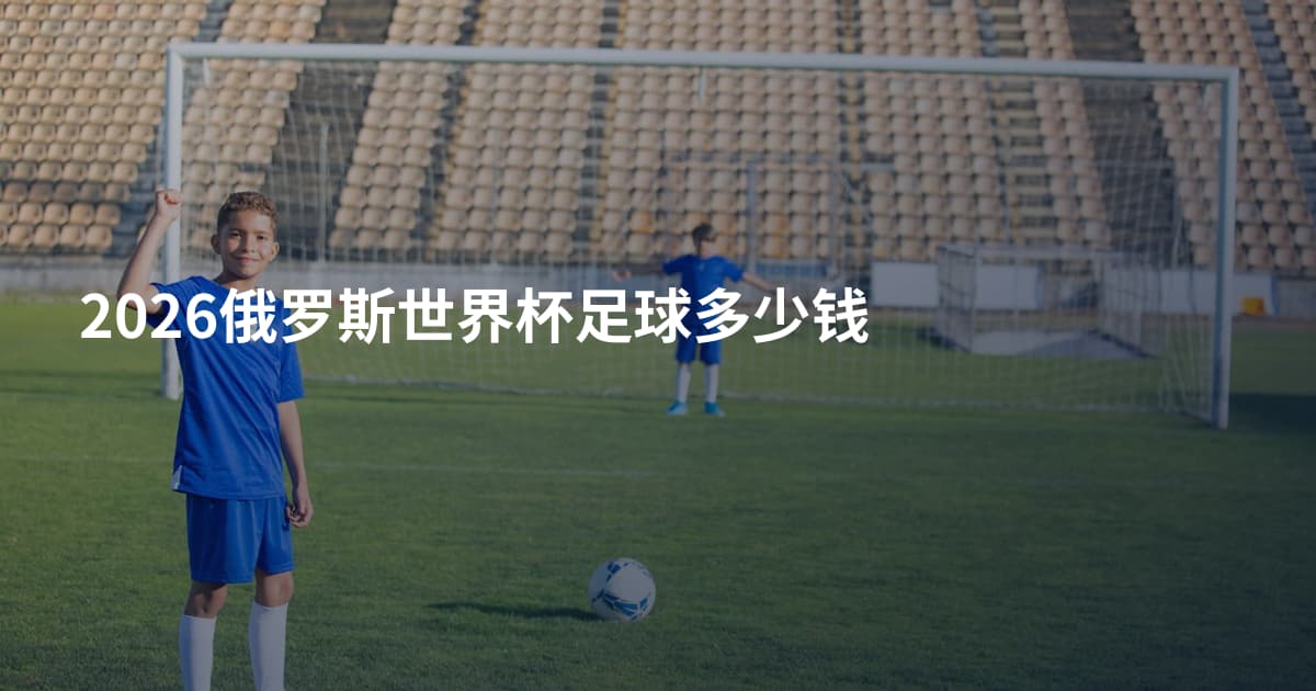 2026俄罗斯世界杯足球多少钱