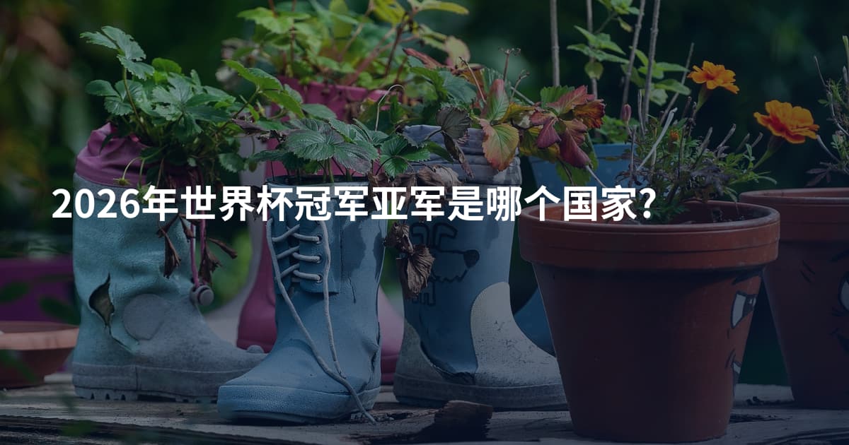 2026年世界杯冠军亚军是哪个国家?