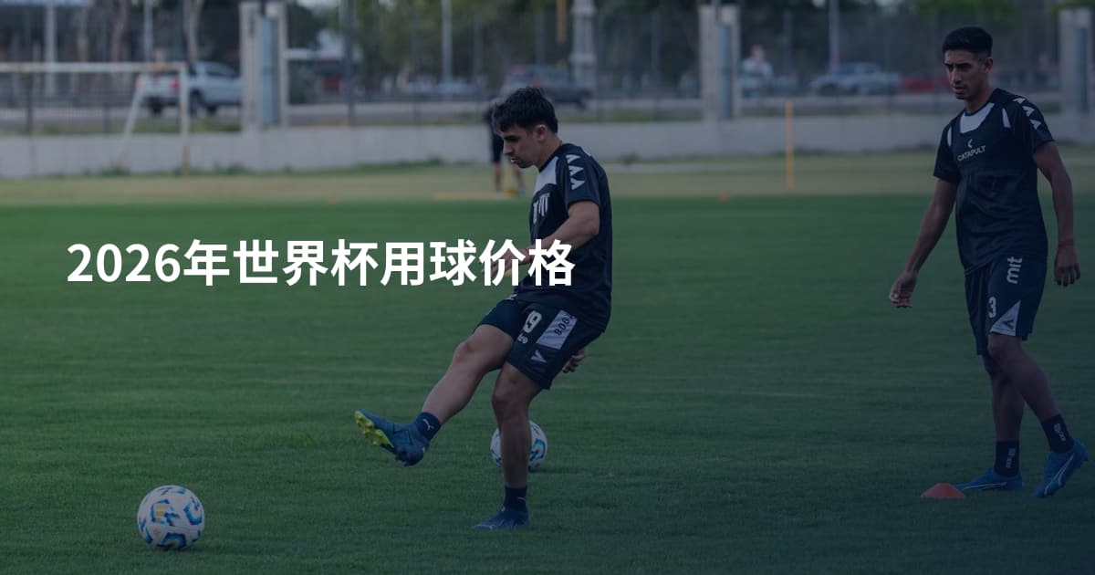 2026年世界杯用球价格