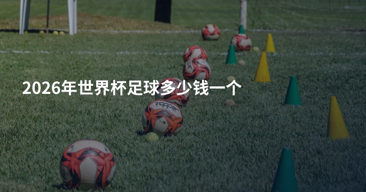 2026年世界杯足球多少钱一个