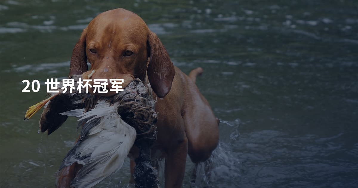20   世界杯冠军