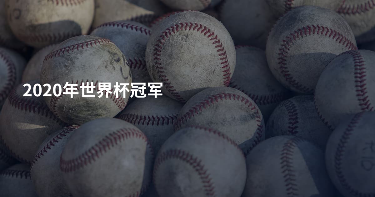 2020年世界杯冠军