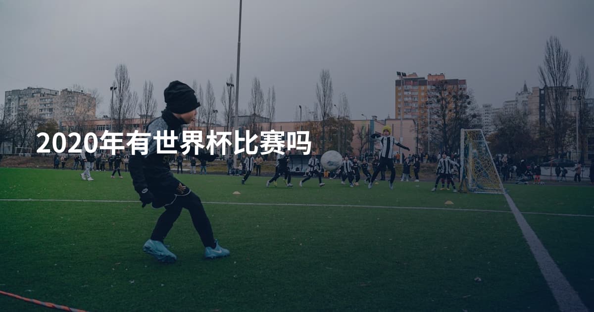 2020年有世界杯比赛吗