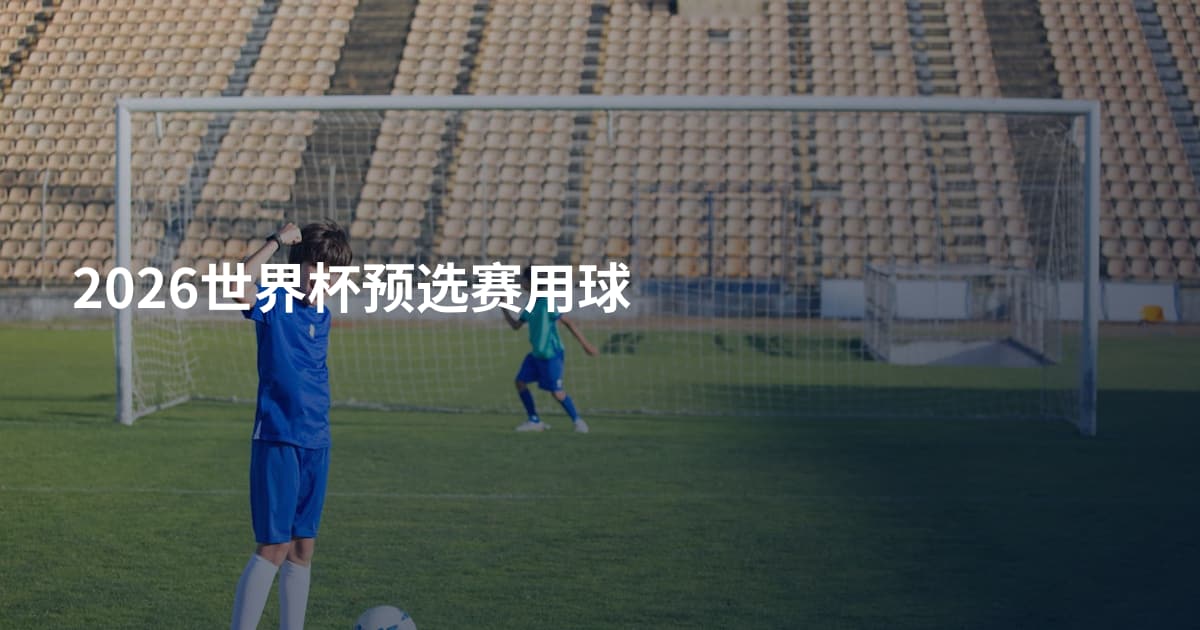 2026世界杯预选赛用球