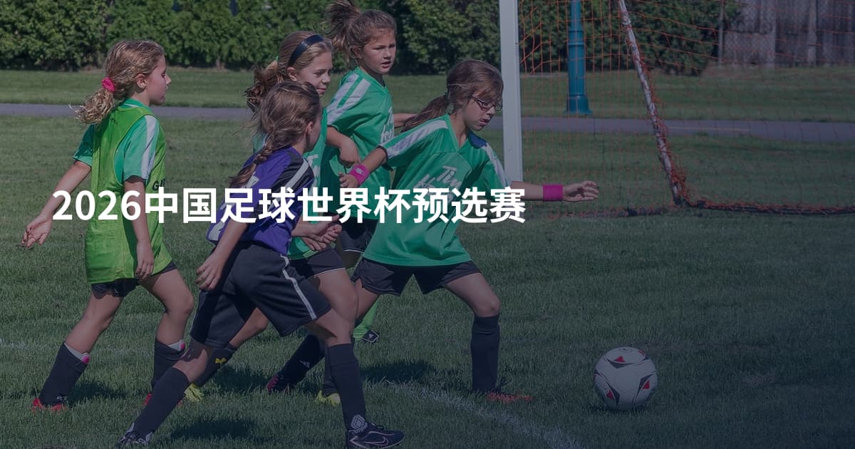 2026中国足球世界杯预选赛