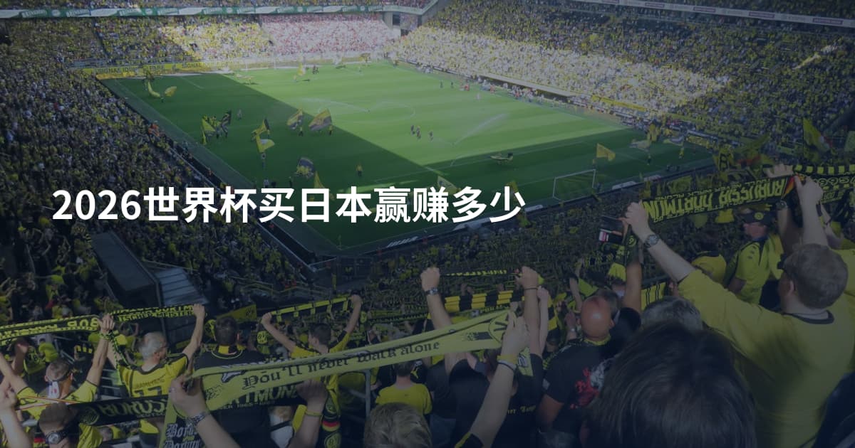 2026世界杯买日本赢赚多少