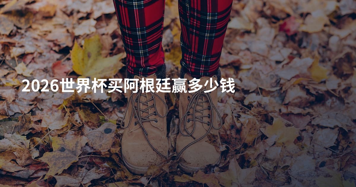 2026世界杯买阿根廷赢多少钱
