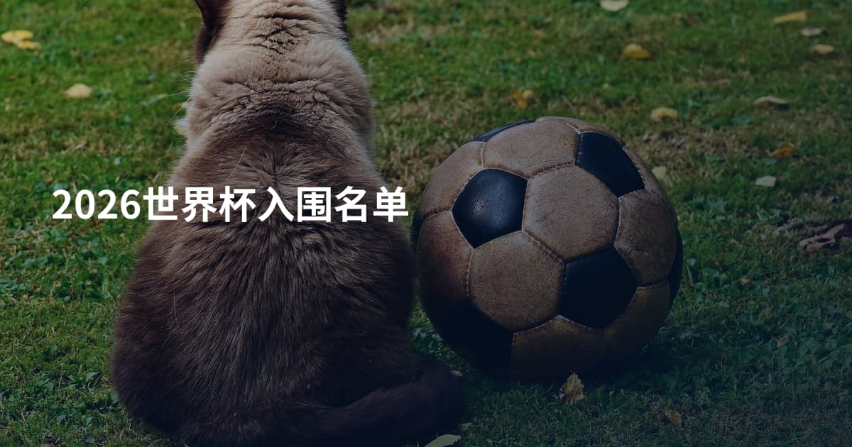 2026世界杯入围名单