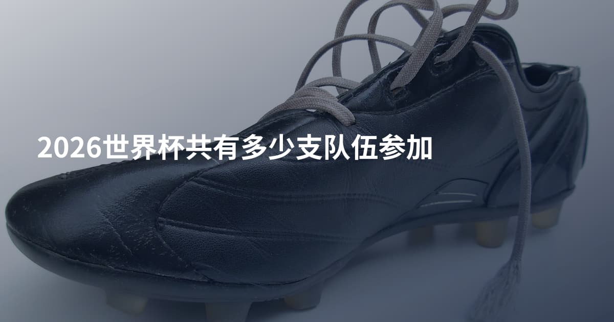 2026世界杯共有多少支队伍参加