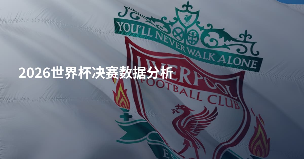 2026世界杯决赛数据分析