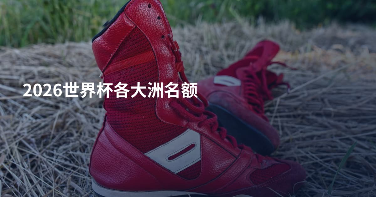2026世界杯各大洲名额