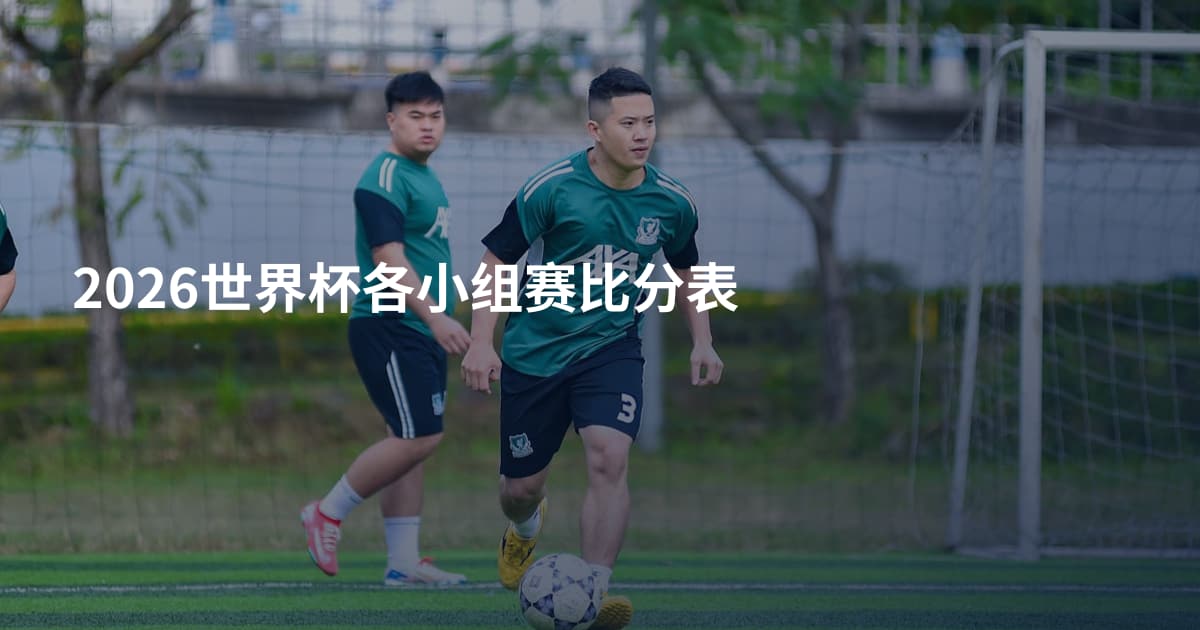 2026世界杯各小组赛比分表