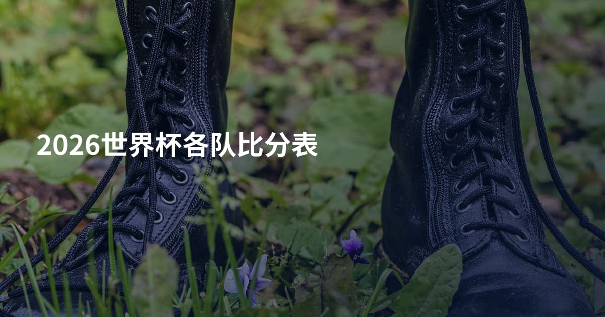 2026世界杯各队比分表
