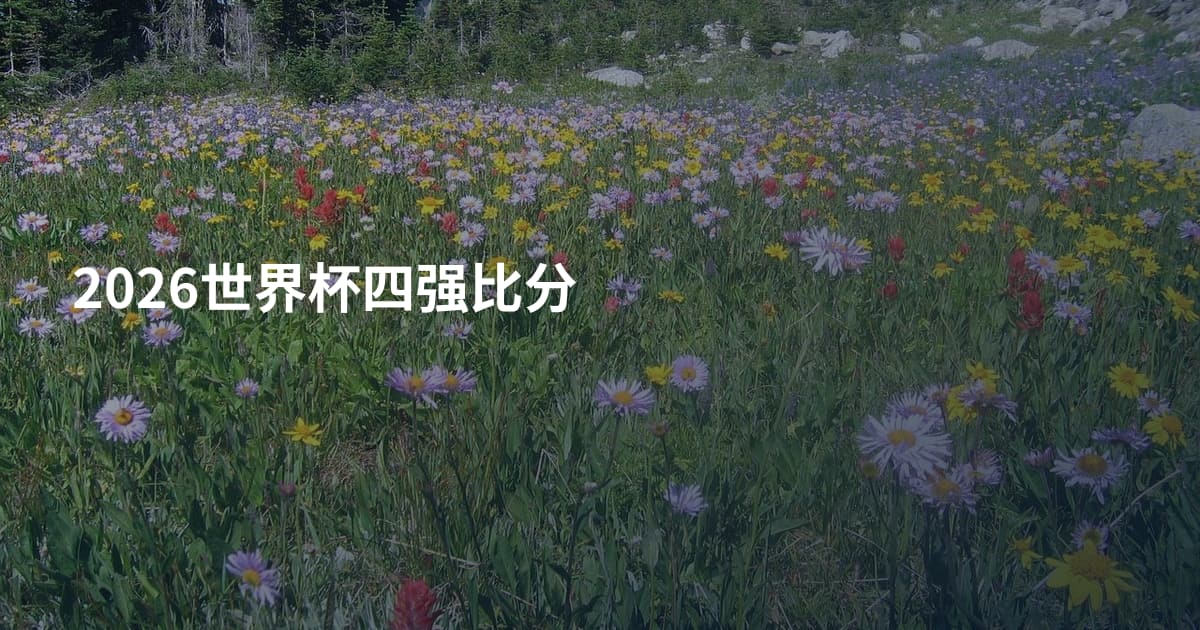 2026世界杯四强比分