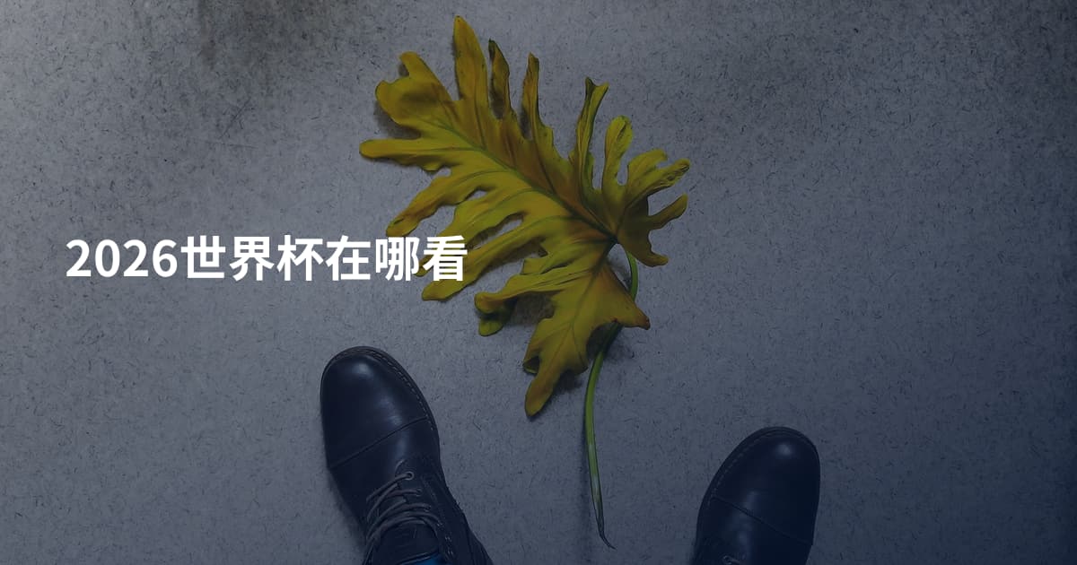 2026世界杯在哪看
