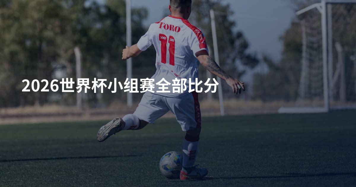2026世界杯小组赛全部比分