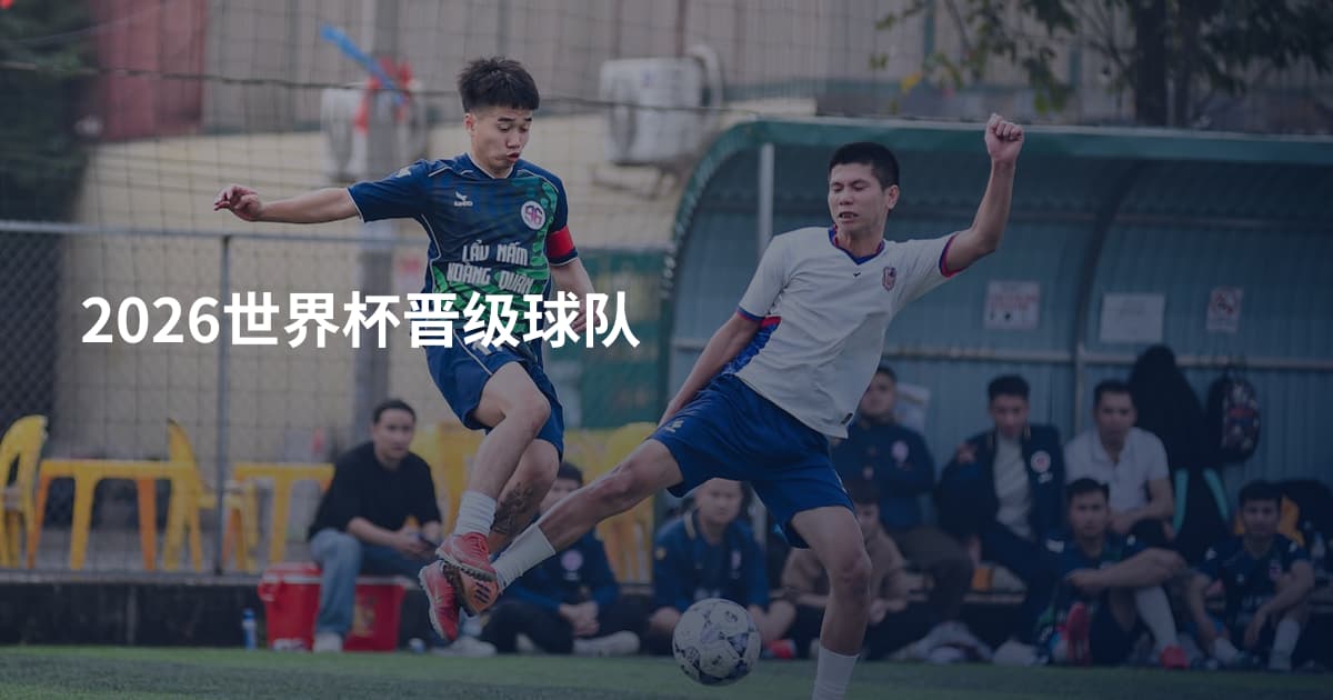 2026世界杯晋级球队
