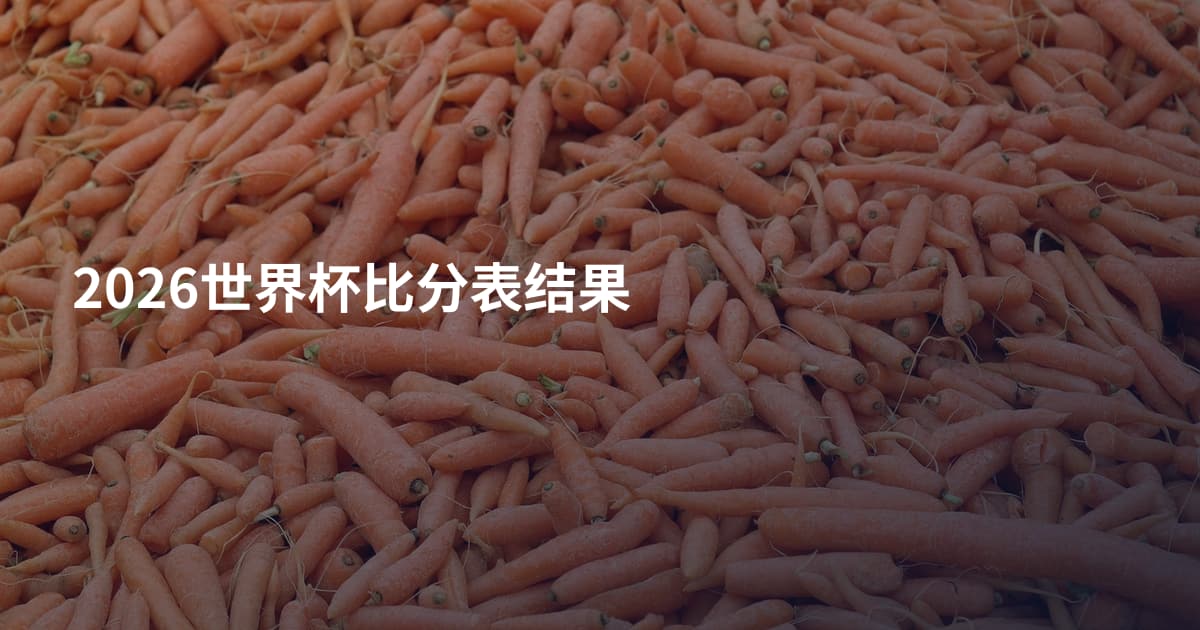 2026世界杯比分表结果