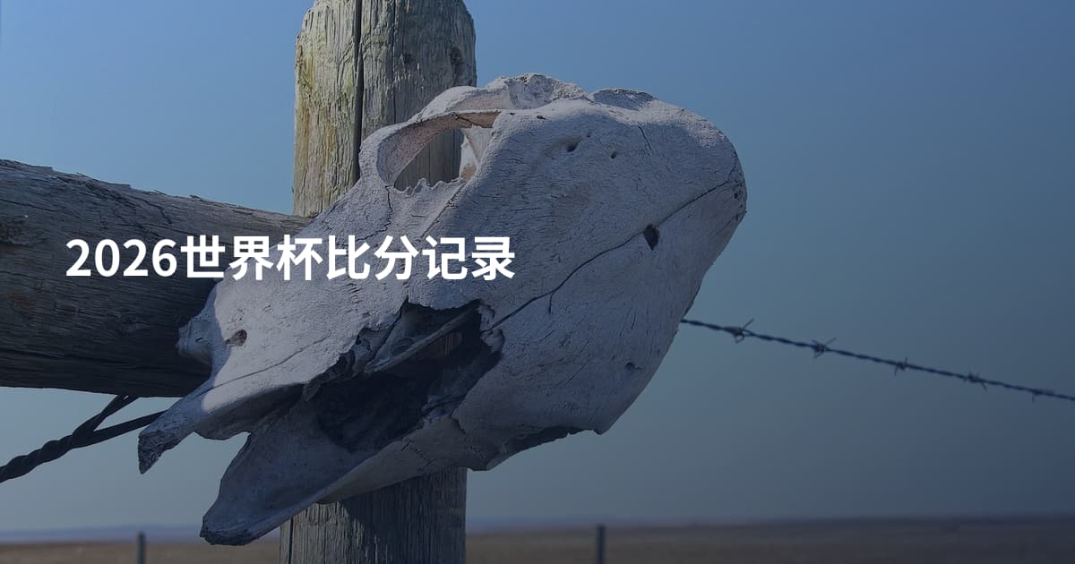 2026世界杯比分记录