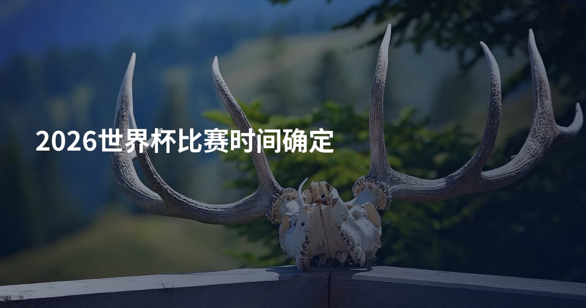 2026世界杯比赛时间确定