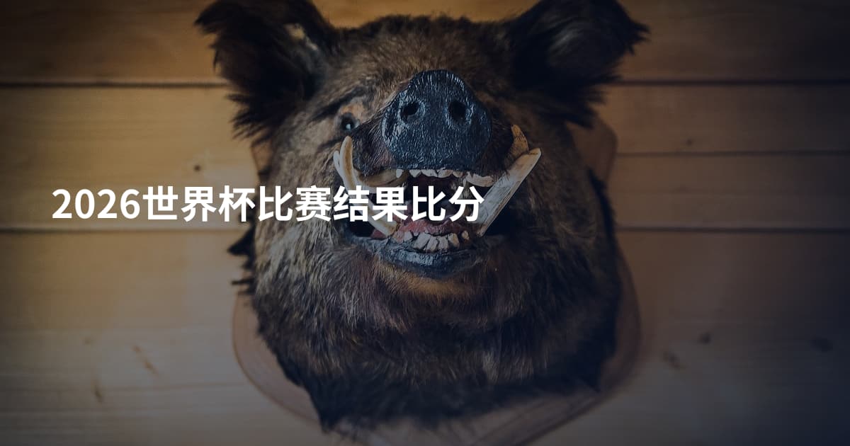 2026世界杯比赛结果比分