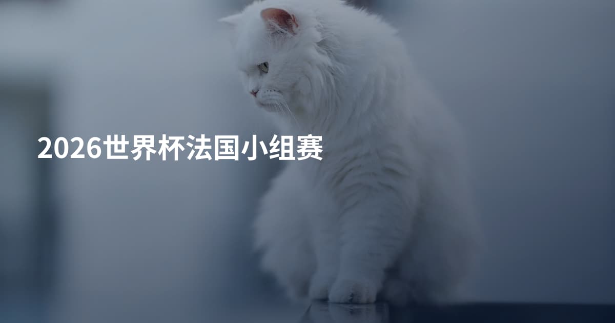 2026世界杯法国小组赛