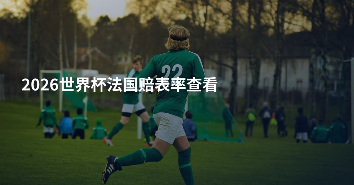 2026世界杯法国赔表率查看