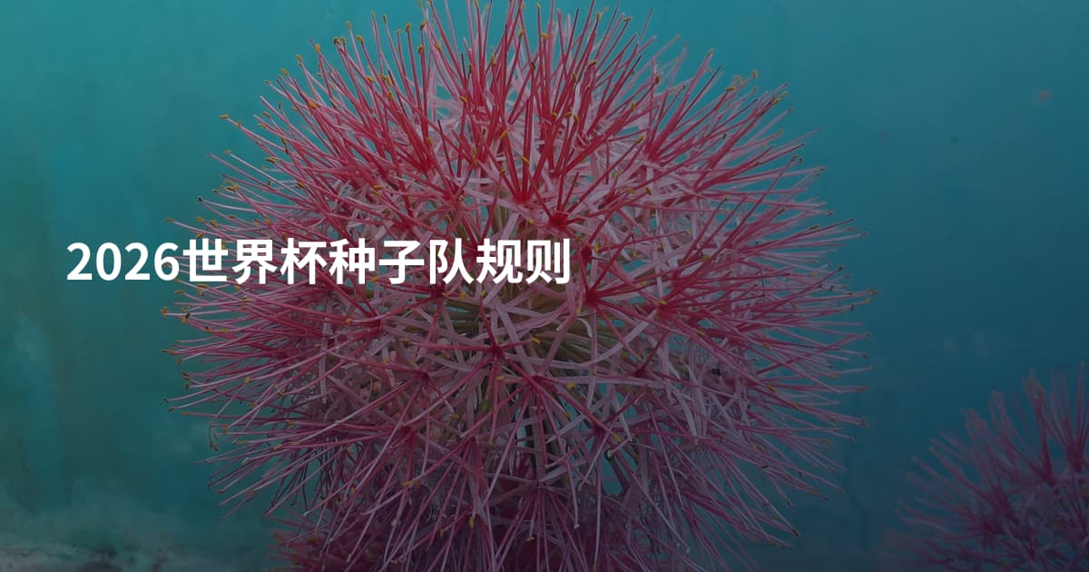 2026世界杯种子队规则