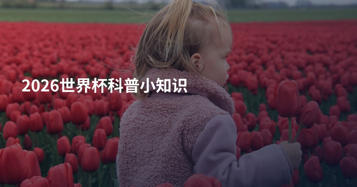 2026世界杯科普小知识
