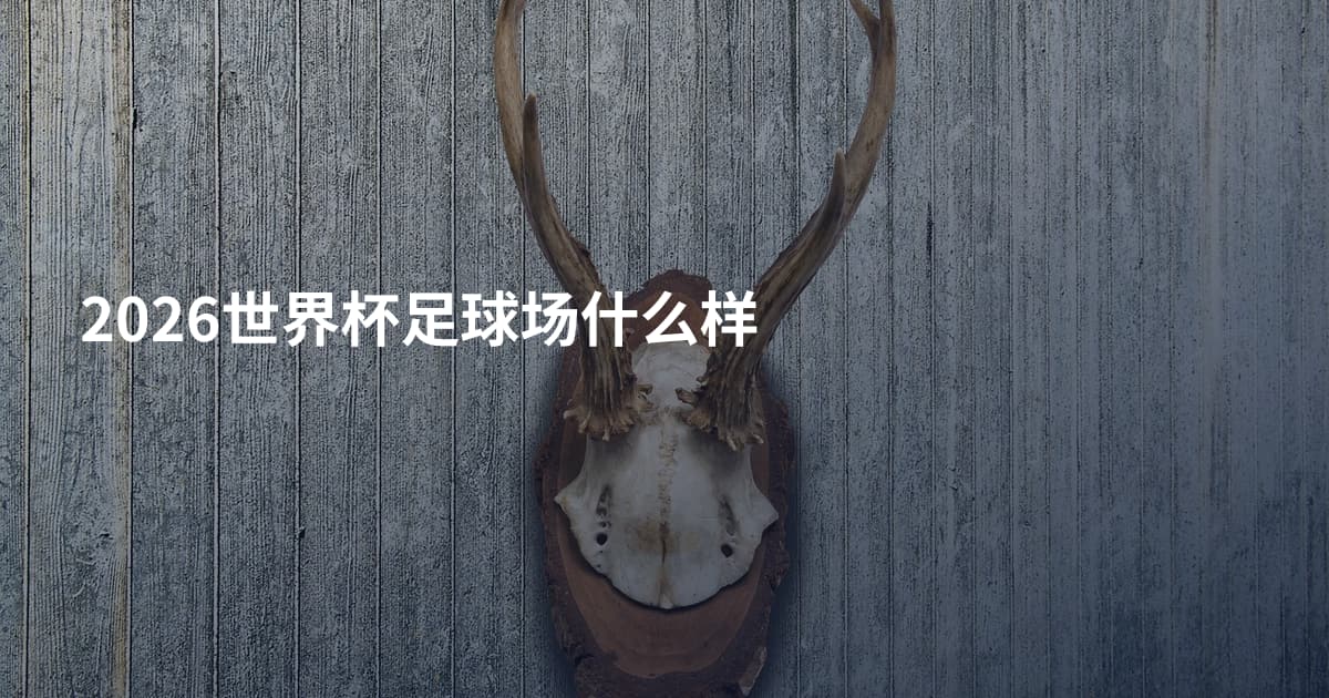 2026世界杯足球场什么样
