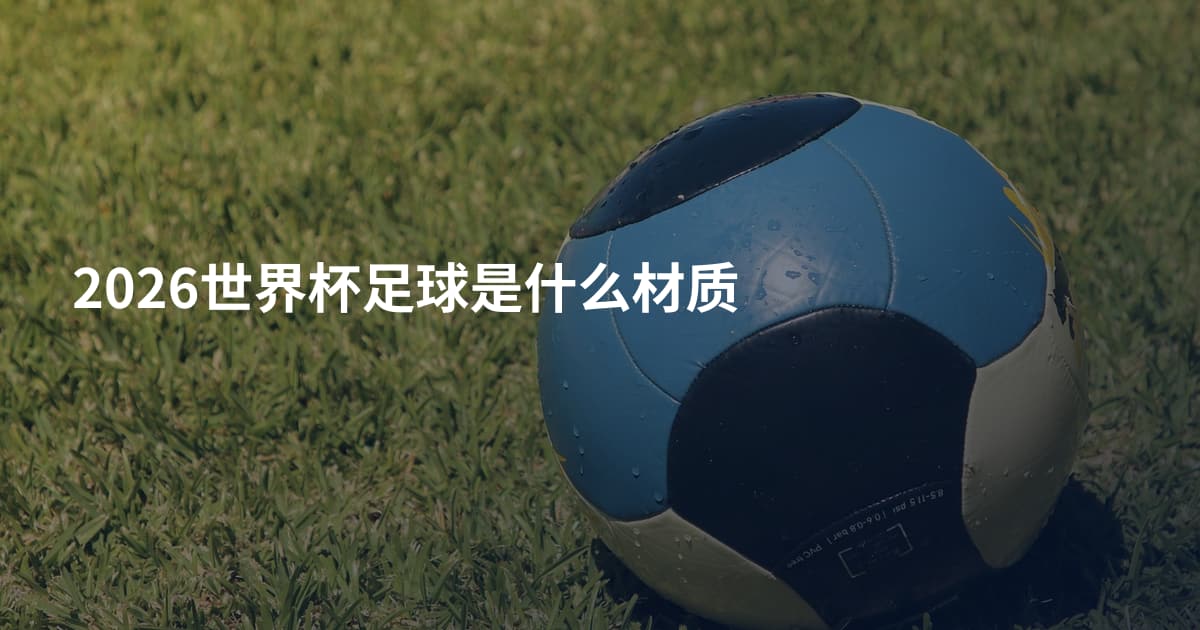 2026世界杯足球是什么材质