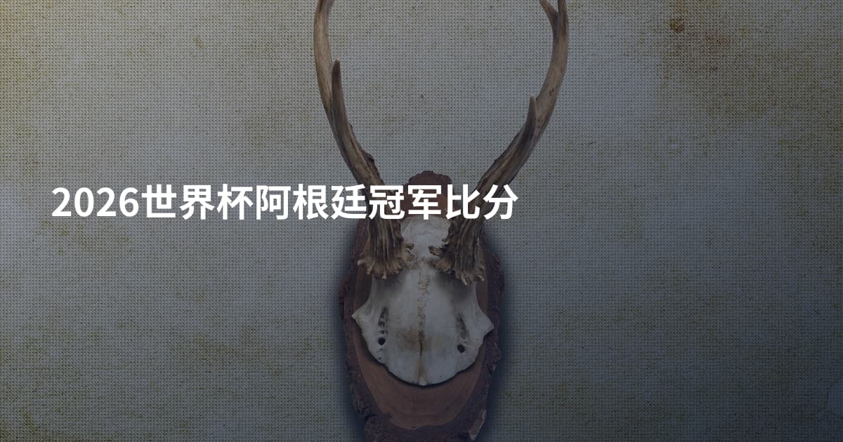 2026世界杯阿根廷冠军比分