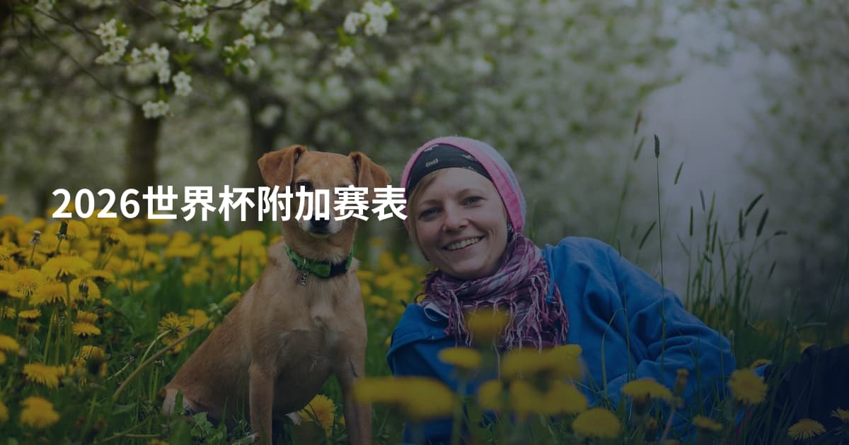 2026世界杯附加赛表
