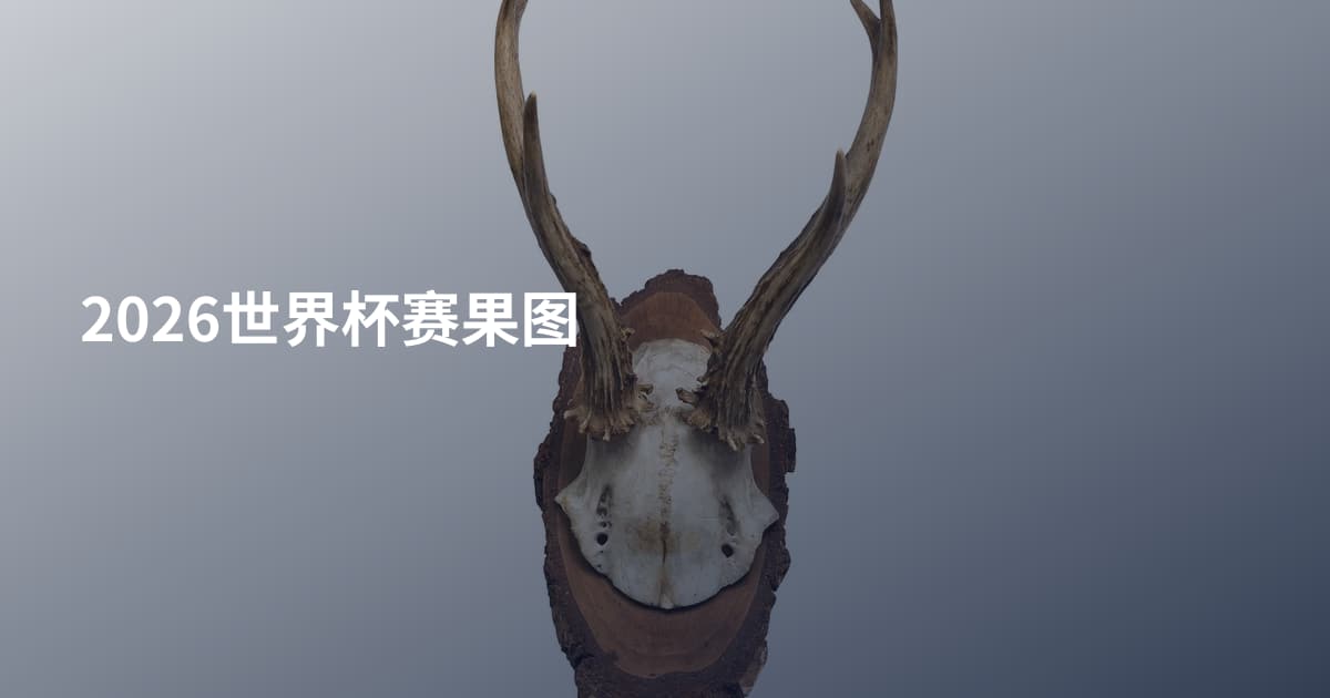 2026世界杯赛果图