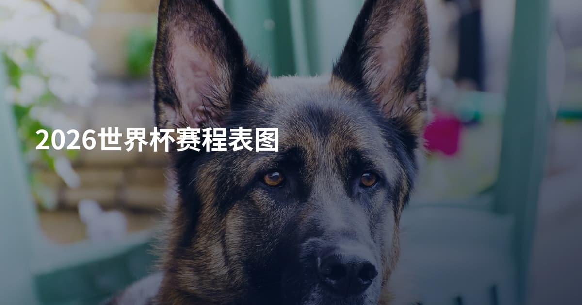 2026世界杯赛程表图