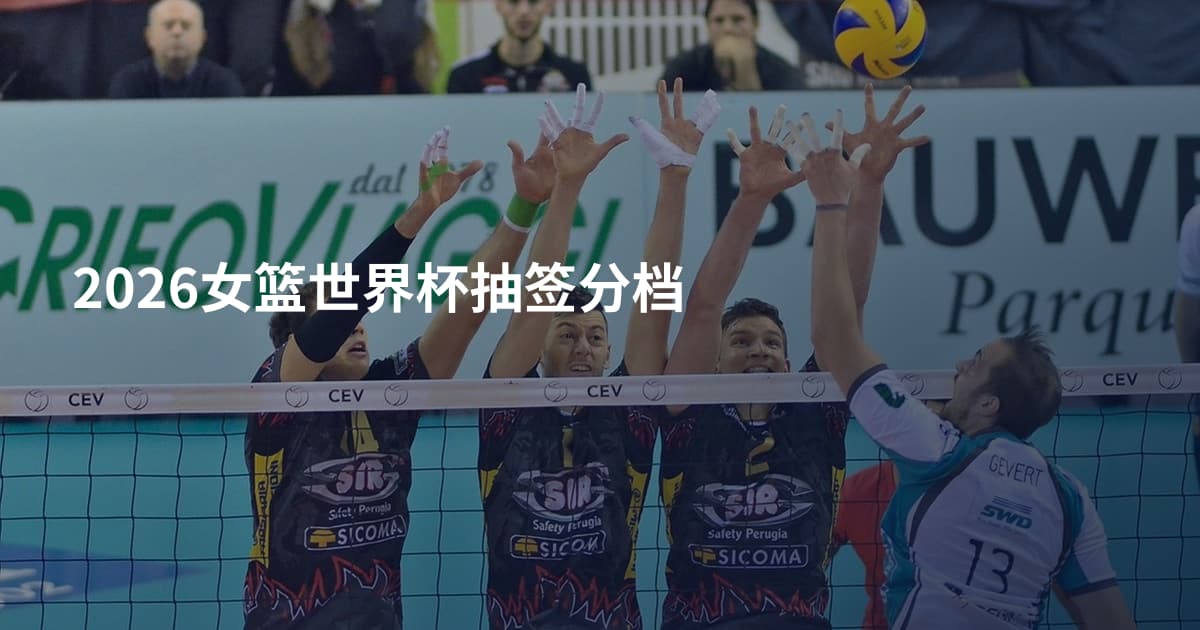 2026女篮世界杯抽签分档