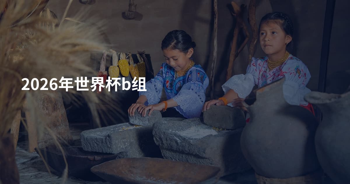 2026年世界杯b组