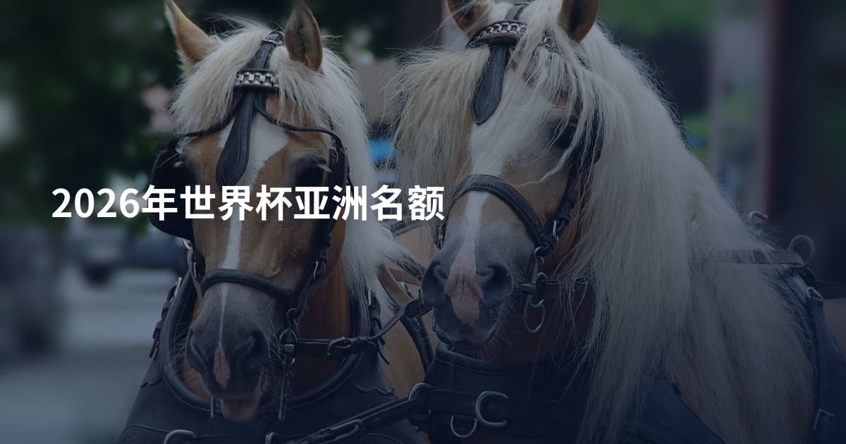 2026年世界杯亚洲名额