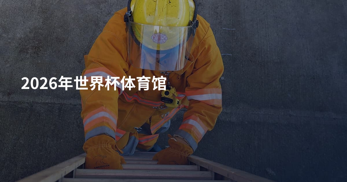 2026年世界杯体育馆